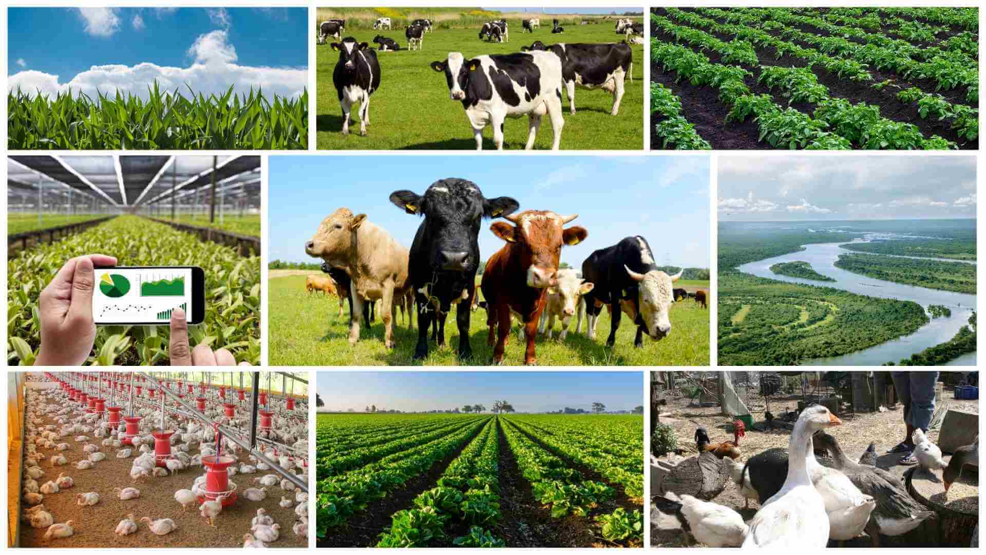 graduategroup_slide_02